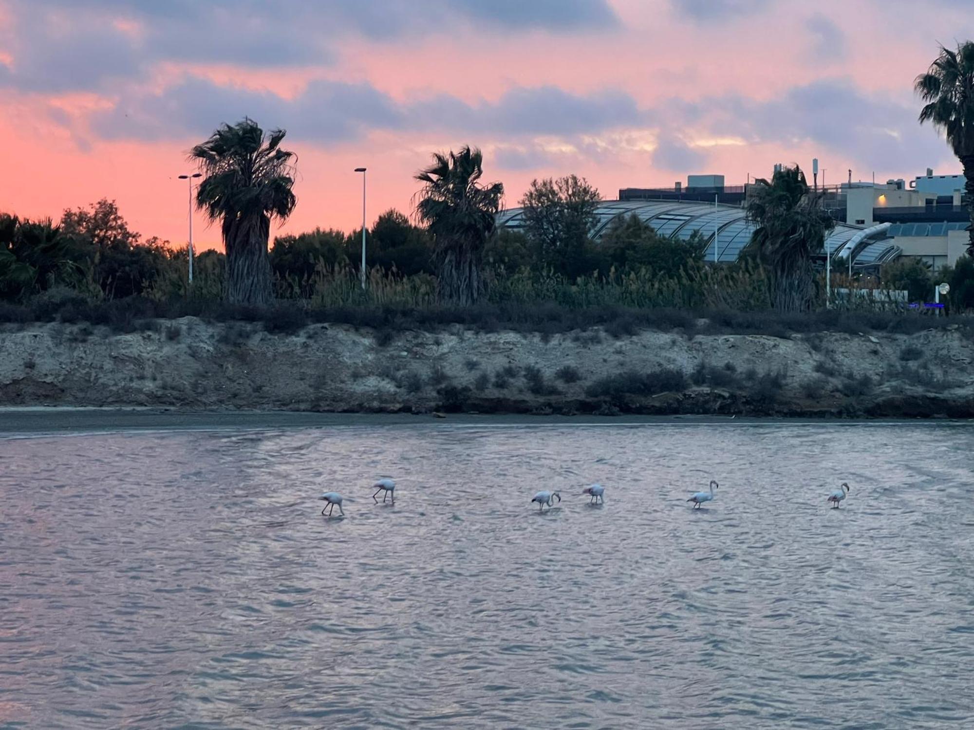 Mar Menor Paradise By Los Pinos Holidays San Pedro del Pinatar Zewnętrze zdjęcie
