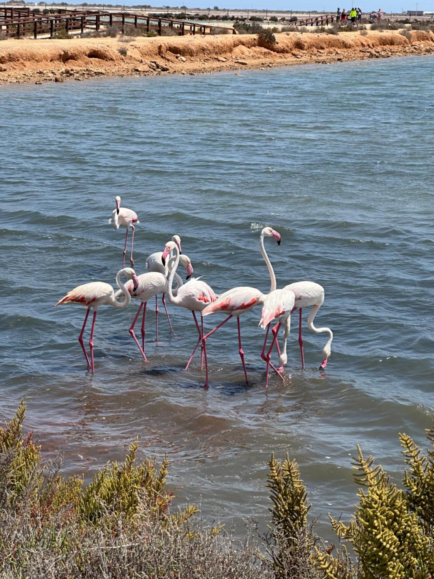 Mar Menor Paradise By Los Pinos Holidays San Pedro del Pinatar Zewnętrze zdjęcie